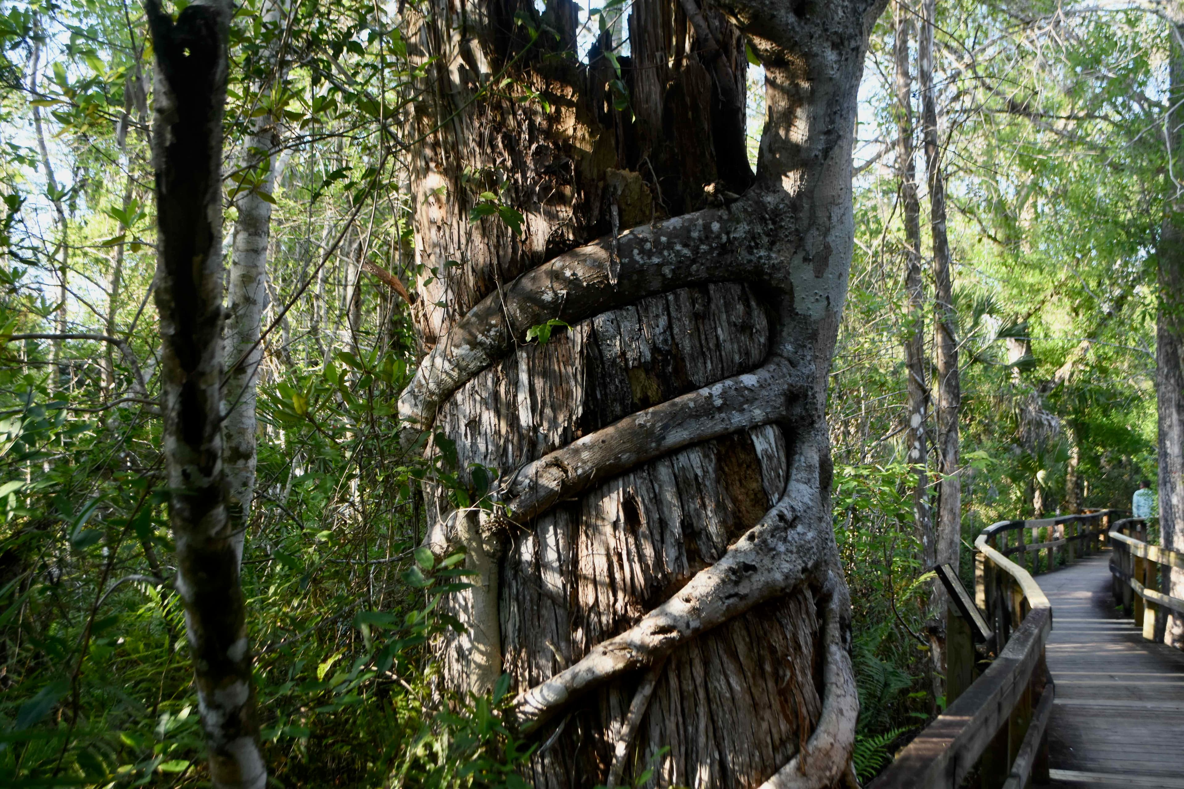 Monolith to microservice patterns